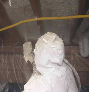 Chicago IL crawl space insulation